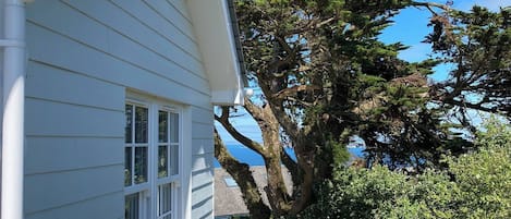 A house with a white exterior, a visible gutter, and a large tree in the background.