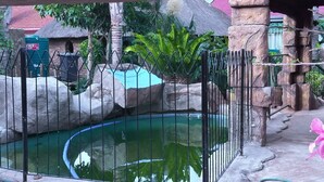 Una piscina con bordo in pietra e recinzione in metallo, circondata da rocce e vegetazione.