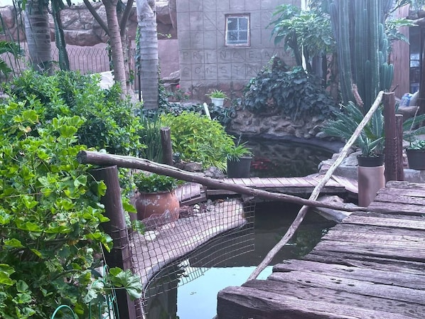 Property grounds - Apartment 3 - Private, Pet-Friendly Apartment in Roodepoort with Pool Access (Roodepoort)