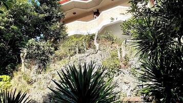 Un edificio de varios niveles con balcones, rodeado de vegetación densa y árboles.