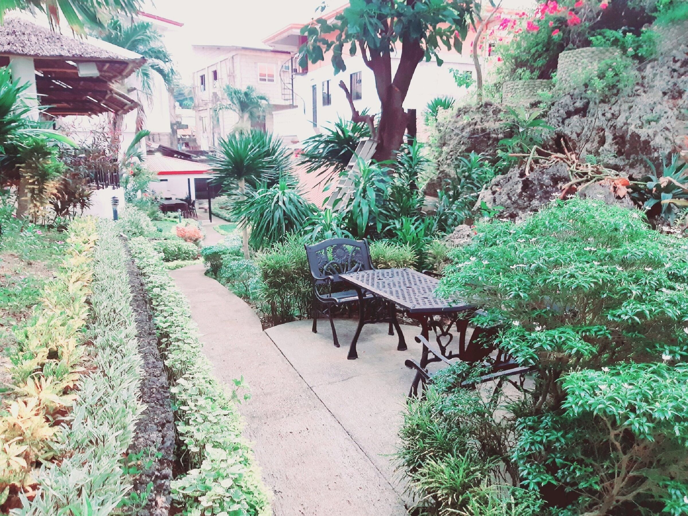 A garden pathway with a bench and table, surrounded by various plants and a building in the background.