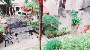 Une cour avec un banc, un palmier et diverses plantes.