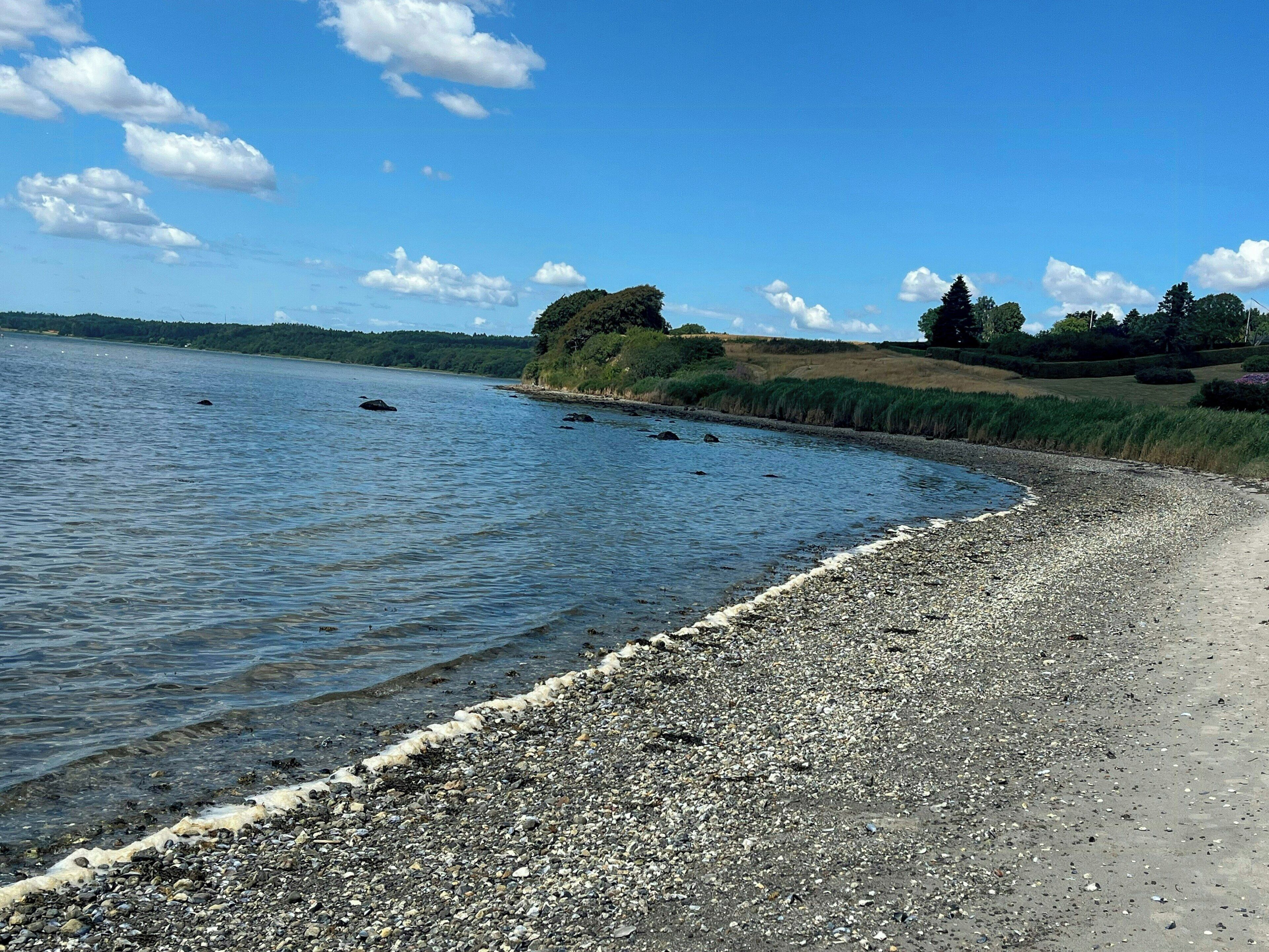 Una spiaggia di ciottoli con acque calme, una collina lontana ricoperta di alberi e un cielo azzurro limpido.