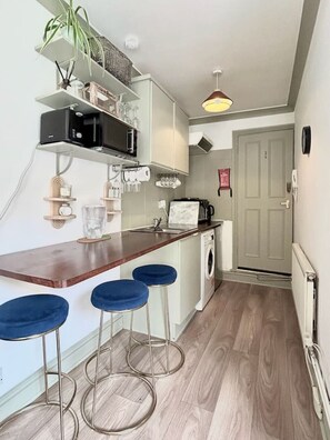 Coffee/tea maker, fridge, microwave, toaster - The Patio Escape Studio Home (Greater London)