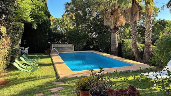 A rectangular swimming pool surrounded by lush greenery, with a concrete deck and a small concrete structure in the background.
