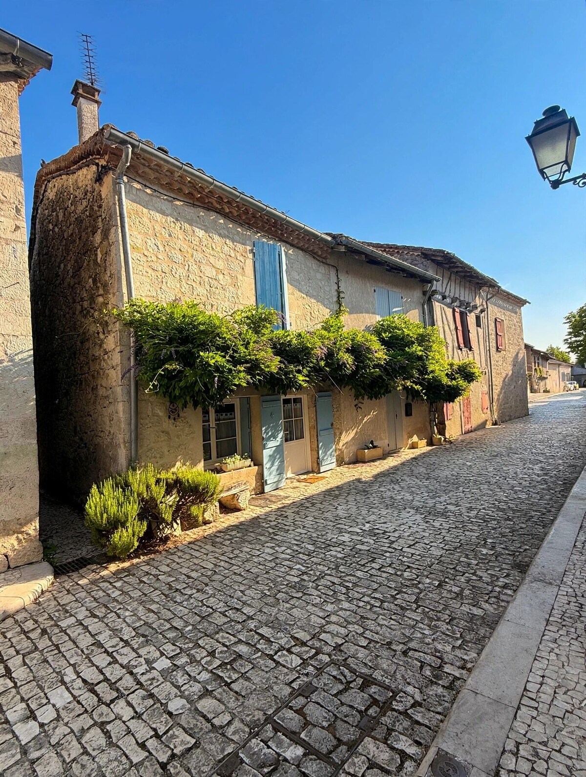 Image de profil de l’hôte
