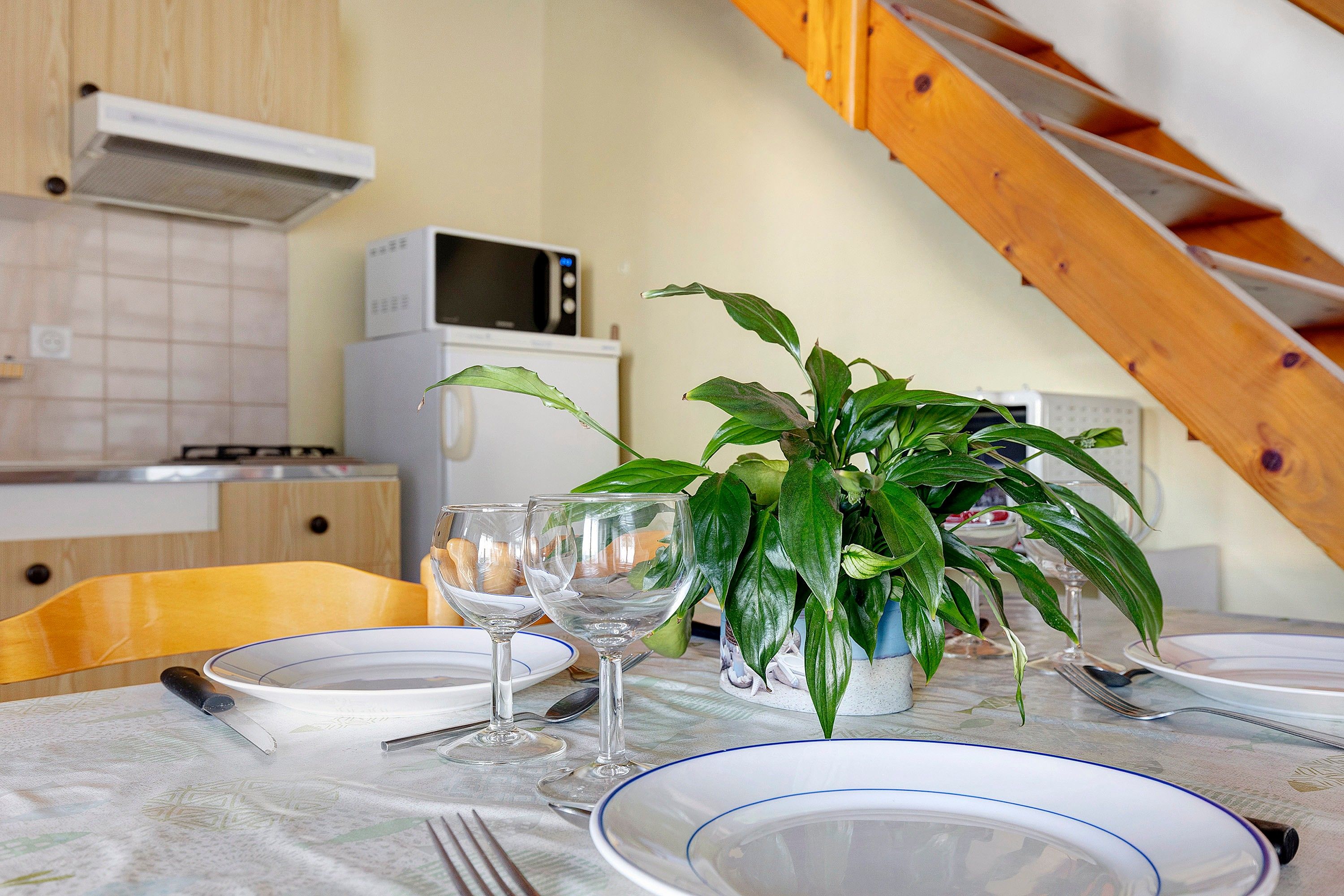 Une table à manger dressée avec des assiettes, des verres et des couverts, et une plante en pot placée au centre.