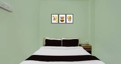 Collection O SRS Residency