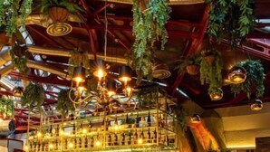 Zona de bar con barra de madera, plantas colgantes y sillas tapizadas en verde.