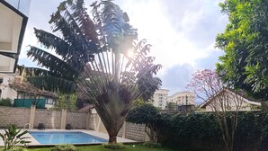 Una piscina envoltada d'herba, una palmera i un arbust.