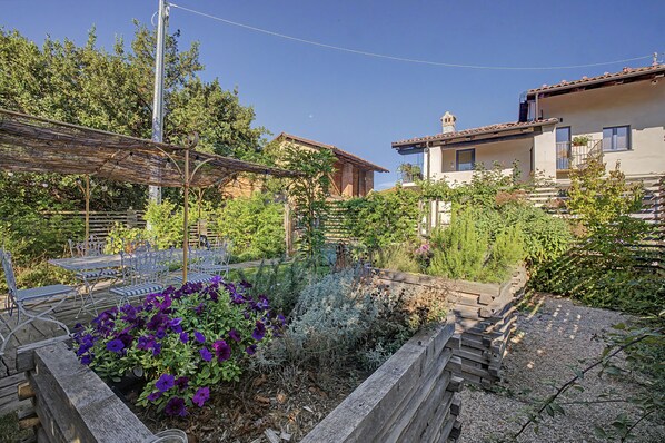 A garden with a pergola, seating area, and a variety of plants.