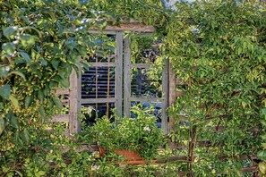 A garden with a wooden trellis structure and lush greenery.