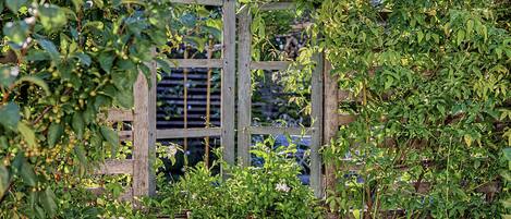 A garden with a wooden trellis structure and lush greenery.