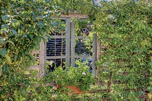 Un jardín con una estructura de madera y abundante vegetación.