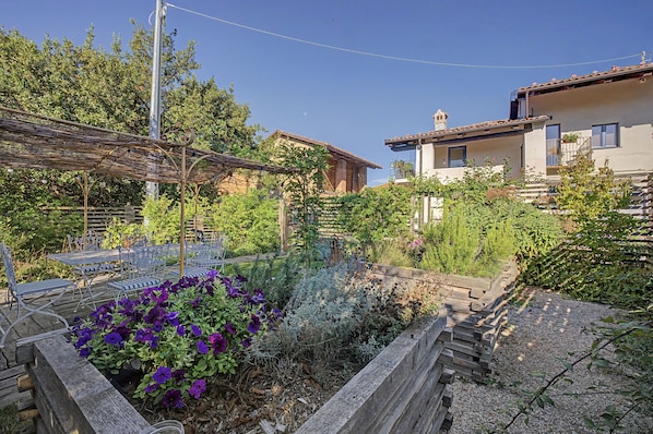 A garden with a pergola, seating area, and a variety of plants.