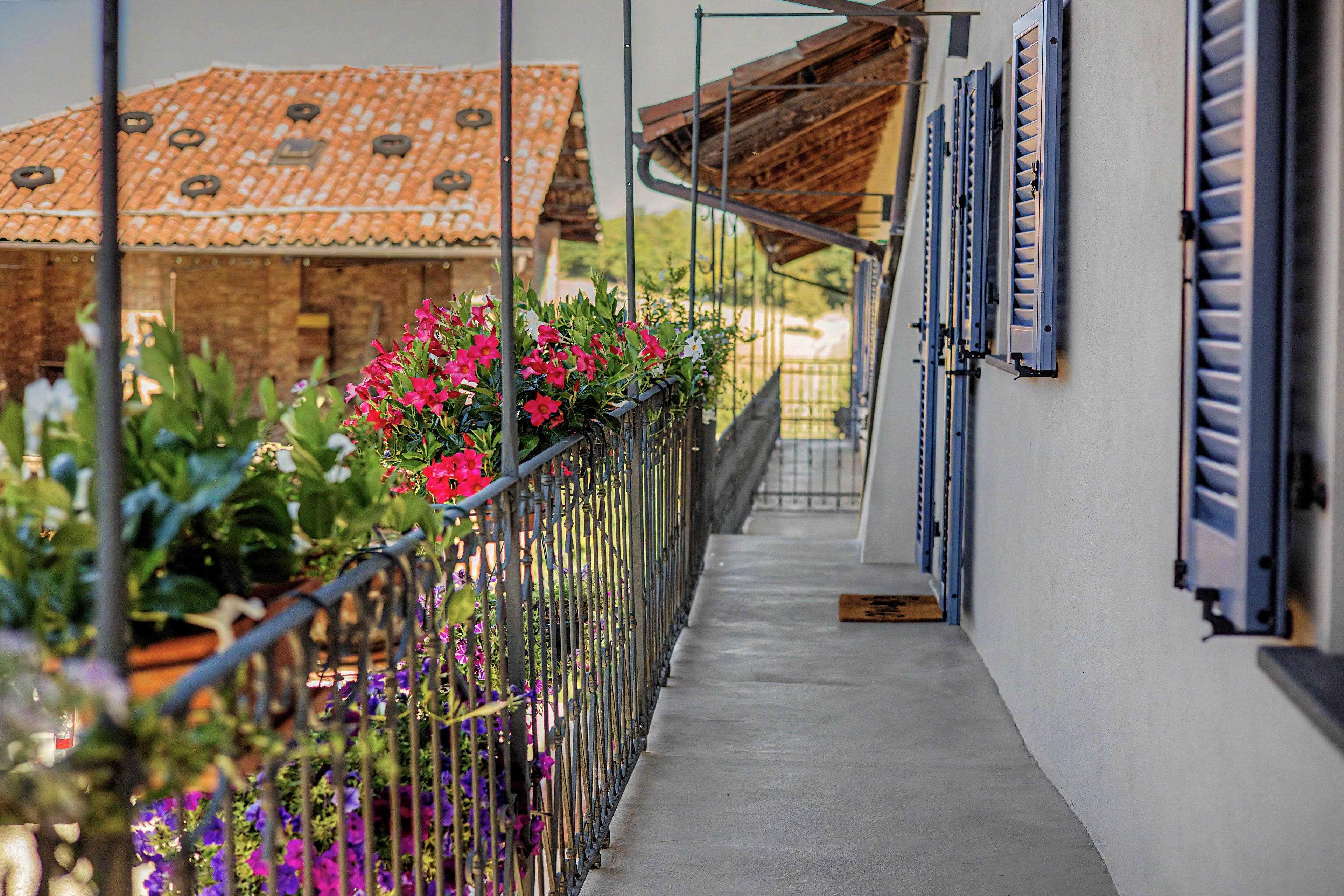 Ein Balkon mit Metallgeländer, Blumentöpfen und Blumen.