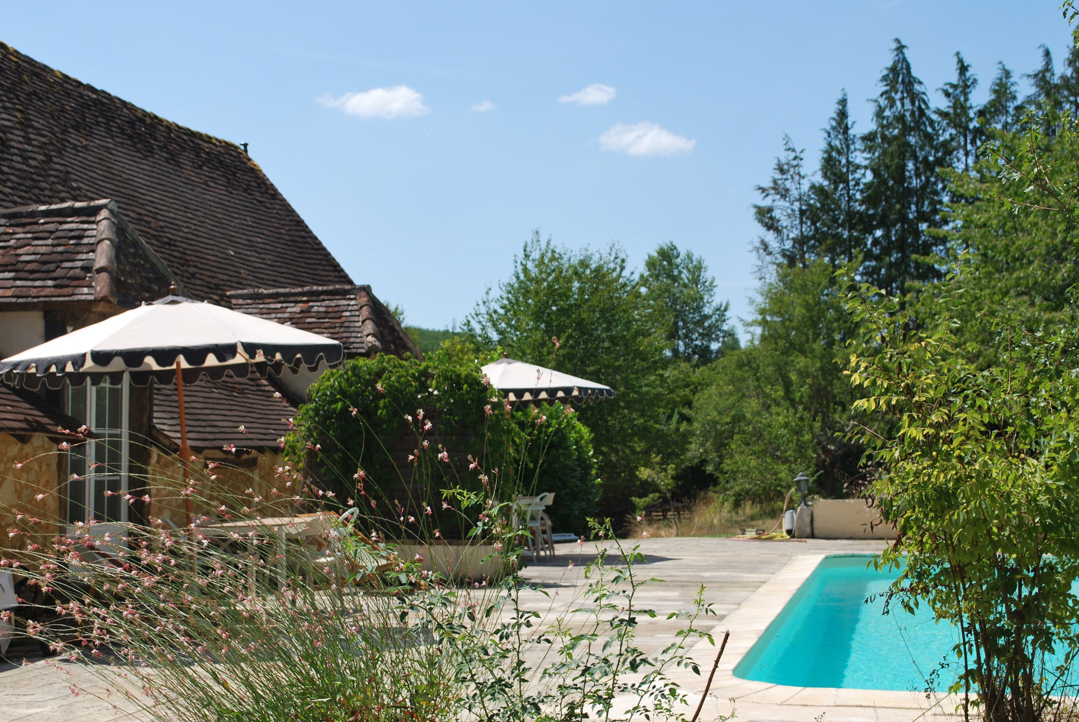 A swimming pool with a tiled deck, surrounded by greenery and a building with a sloped roof.