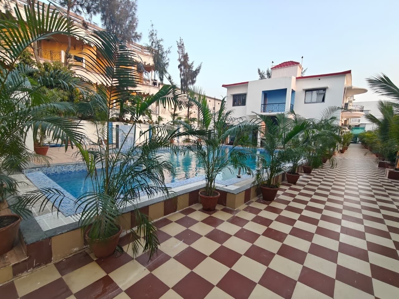 A rooftop pool area with potted plants and a checkered floor.