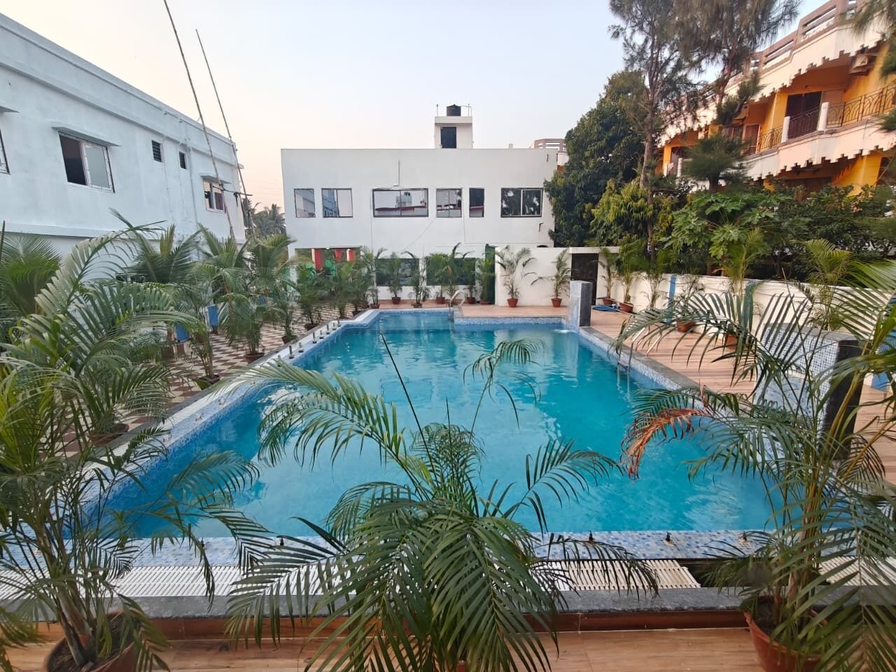Une piscine entourée de plantes en pot et de bâtiments.
