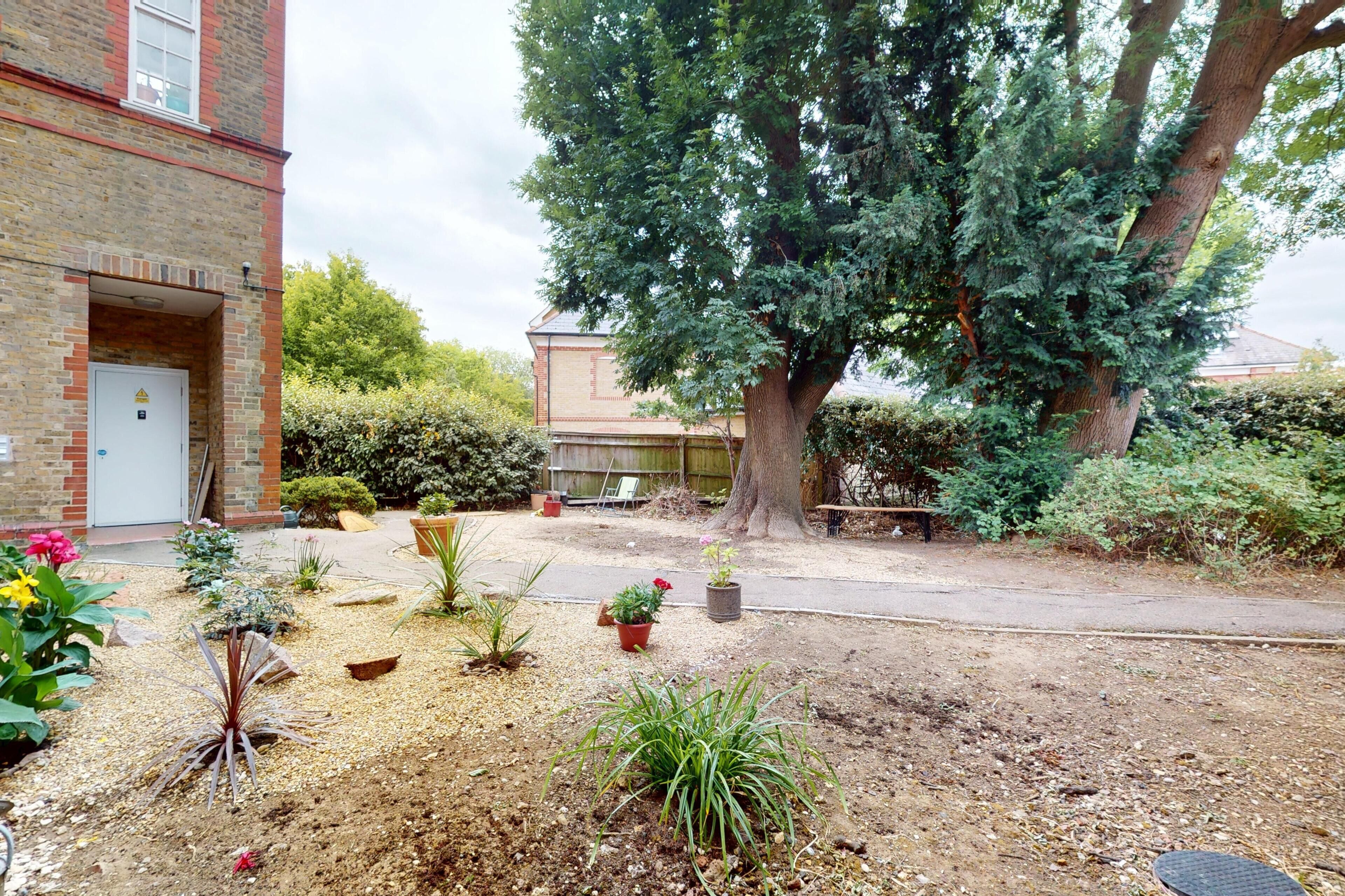 A courtyard with a large tree, potted plants, and a brick building.