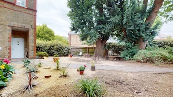 A courtyard with a large tree, potted plants, and a brick building.