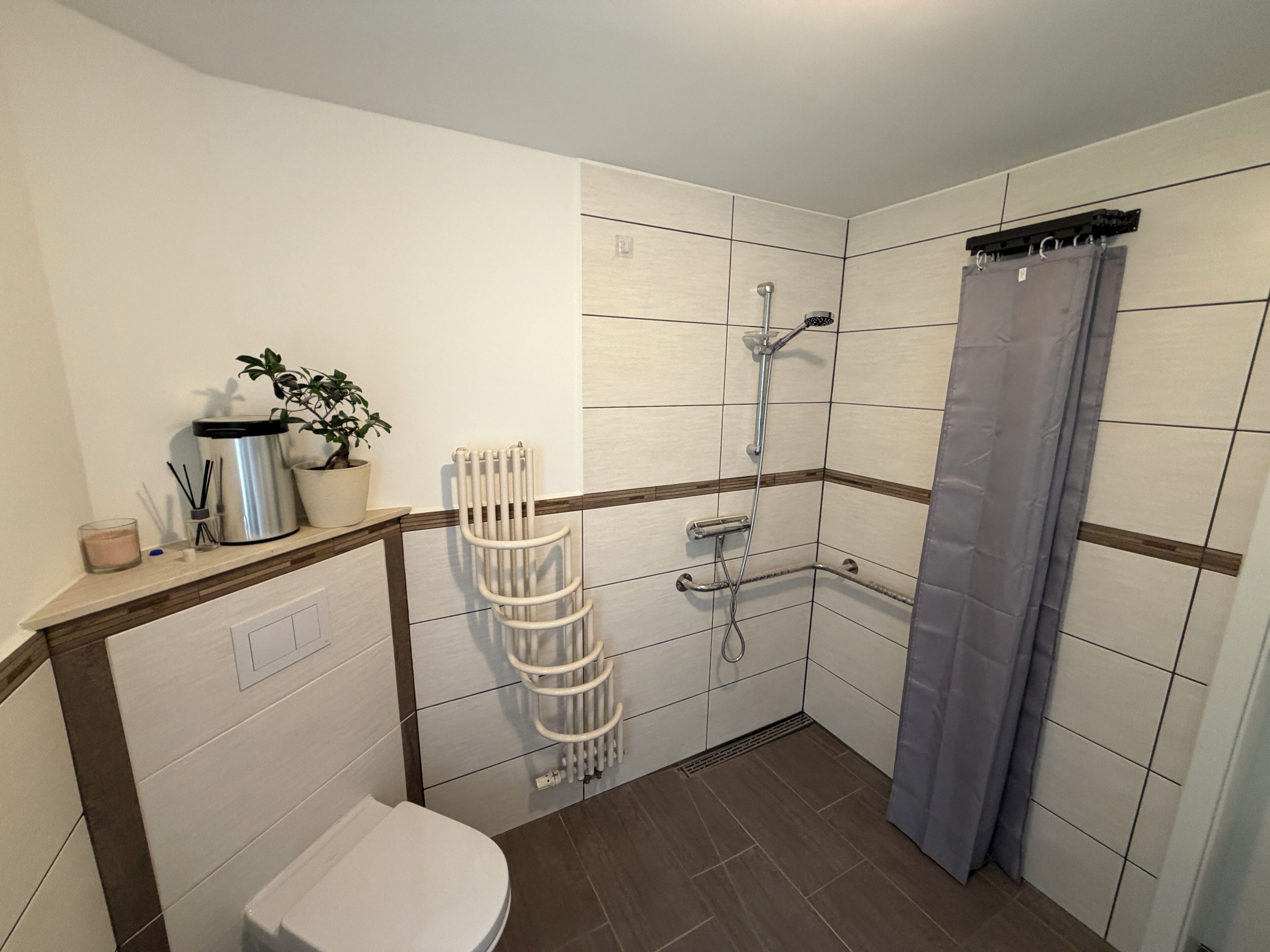 Un baño con inodoro, ducha con cortina, radiador y una planta en maceta.