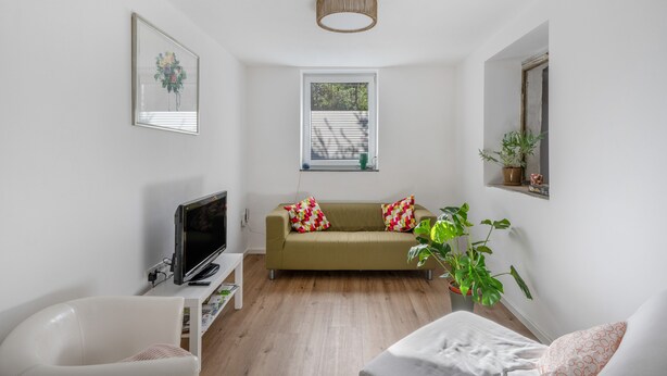Un salon moderne avec un canapé, un téléviseur, une plante et une fenêtre équipée de stores.
