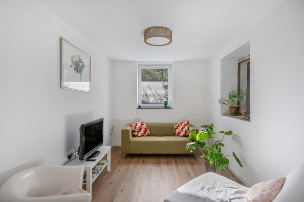 A modern living room with a sofa, a television, a plant, and a window with blinds.