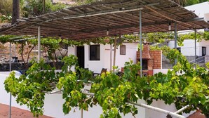 A vineyard with a pergola structure, a brick oven, and a white building with a black door. - Holiday house Casa Argelio (Vallehermoso)