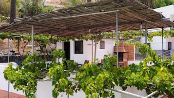 A vineyard with a pergola structure, a brick oven, and a white building with a black door.
