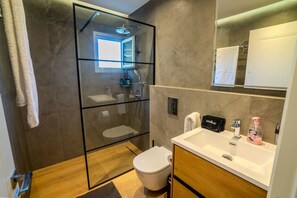 Ein modernes Badezimmer mit einer gläsernen Duschkabine, Toilette, Waschbecken mit Spiegel und Ablagefläche für Pflegeprodukte.