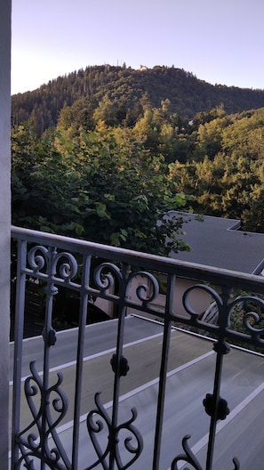 Un balcón con vista a un paisaje boscoso.