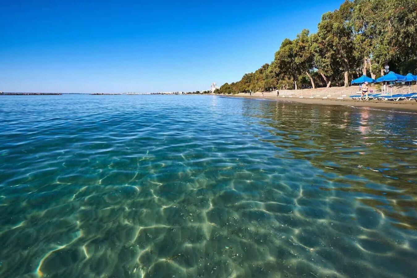 A clear beach with calm water, trees, and beach umbrellas.