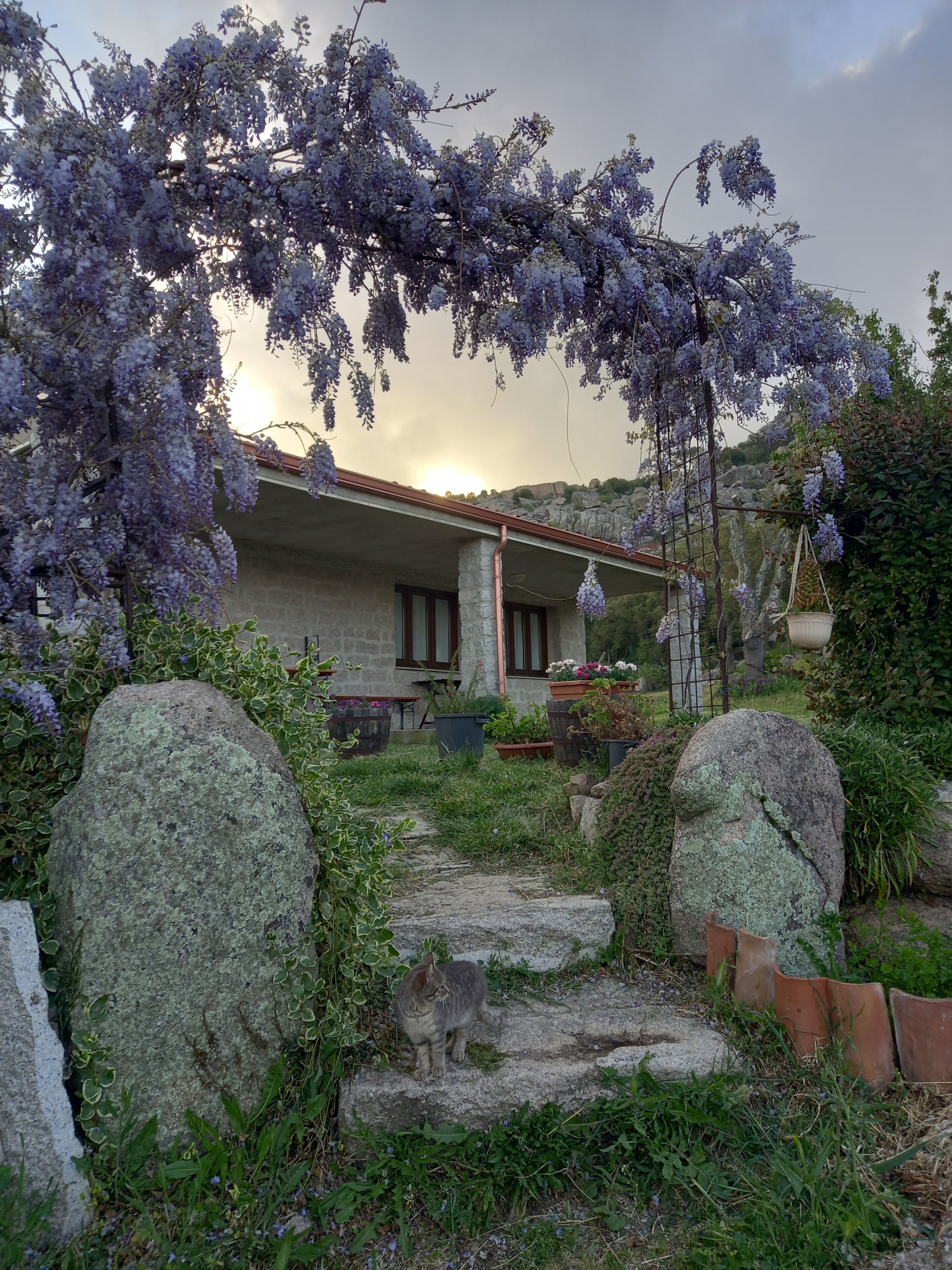 A stone building with a garden, large rocks, and purple flowering vines.
