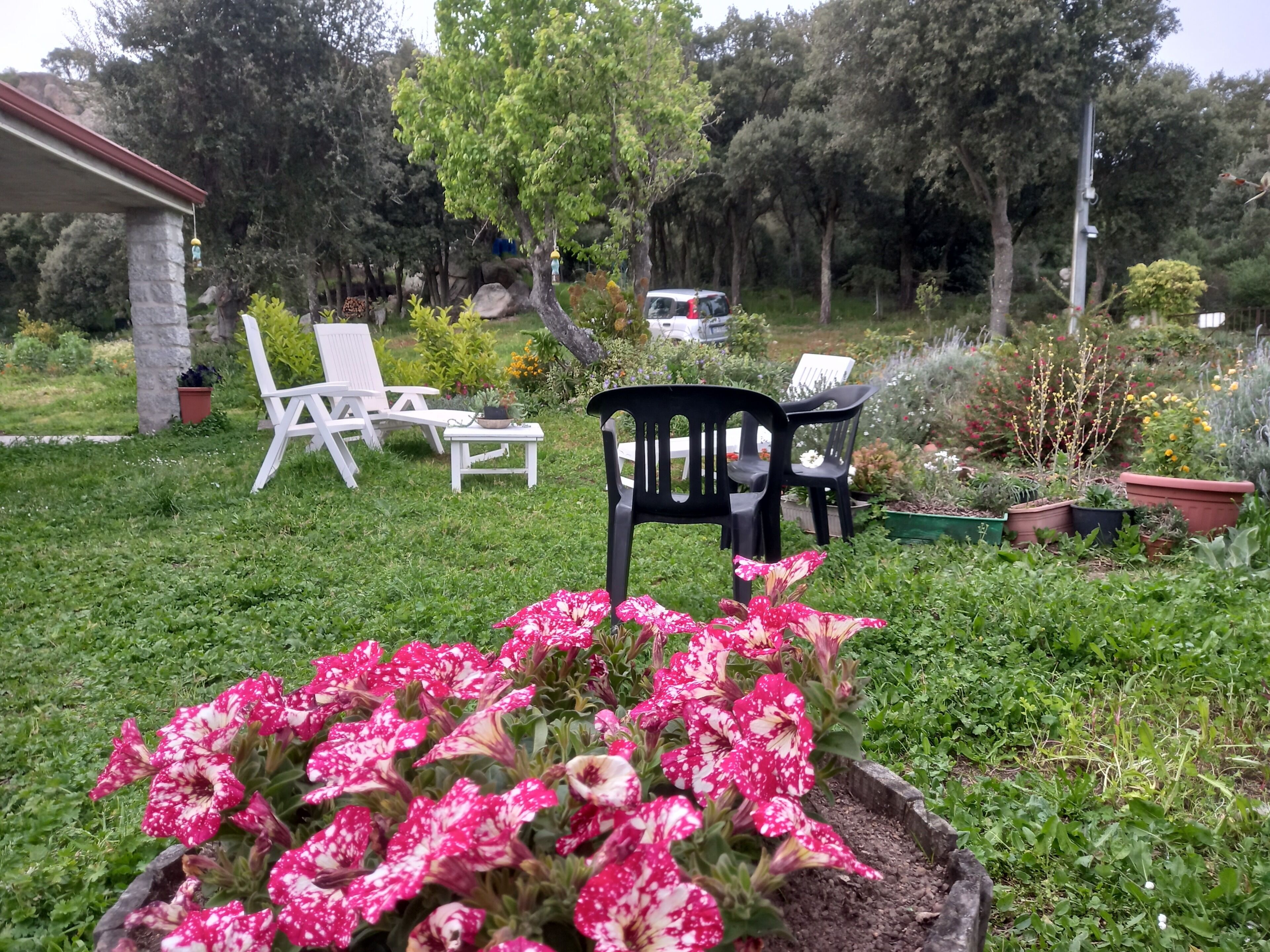 A garden with a lawn, a white building, and a black chair.