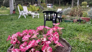 Ein Garten mit Rasen, einem weißen Gebäude und einem schwarzen Stuhl.