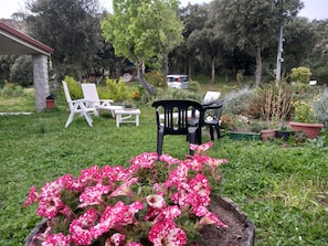 Ein Garten mit Rasen, einem weißen Gebäude und einem schwarzen Stuhl.