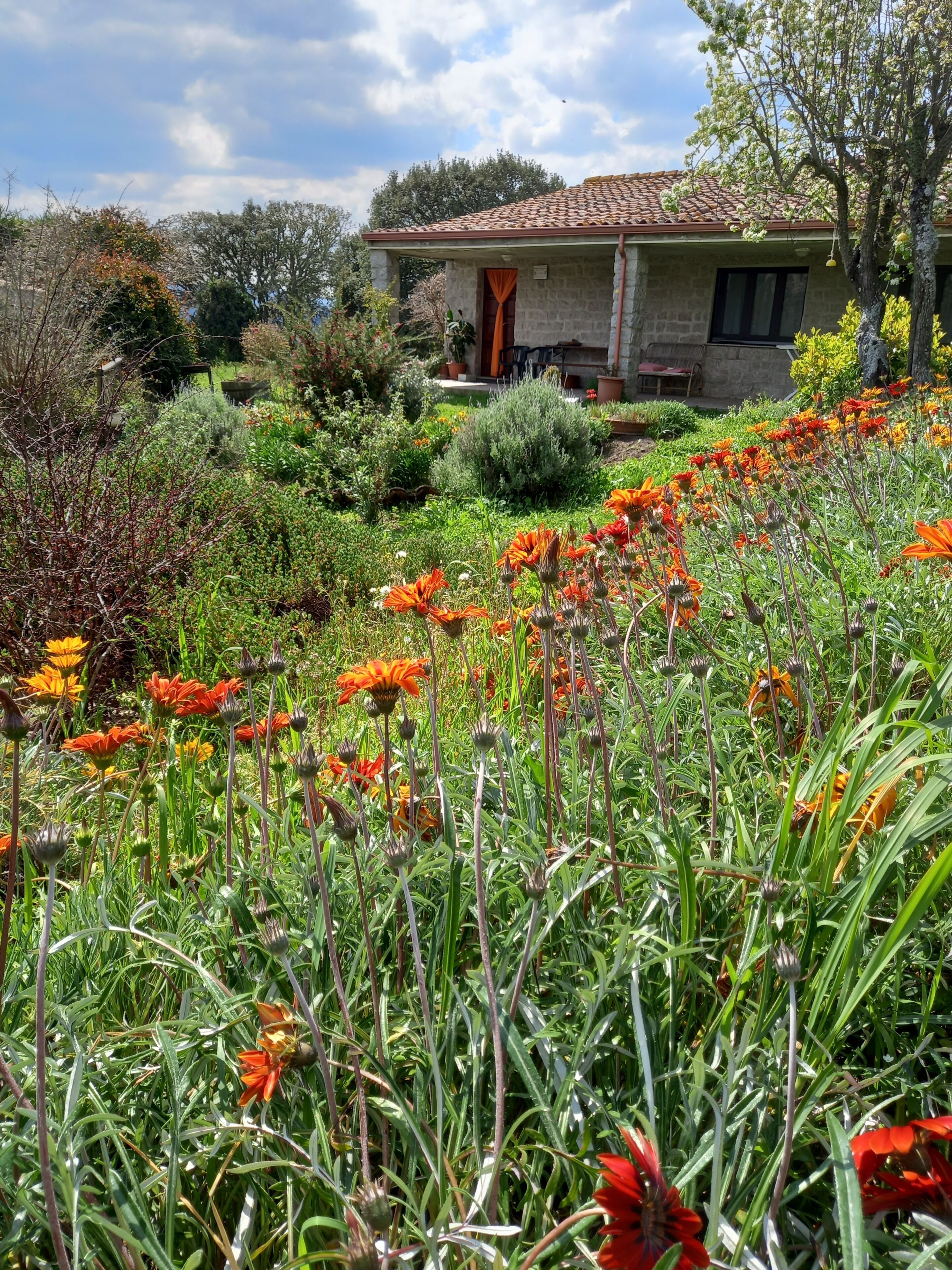 Ein Garten mit bunten Blumen und ein Haus mit Ziegeldach.