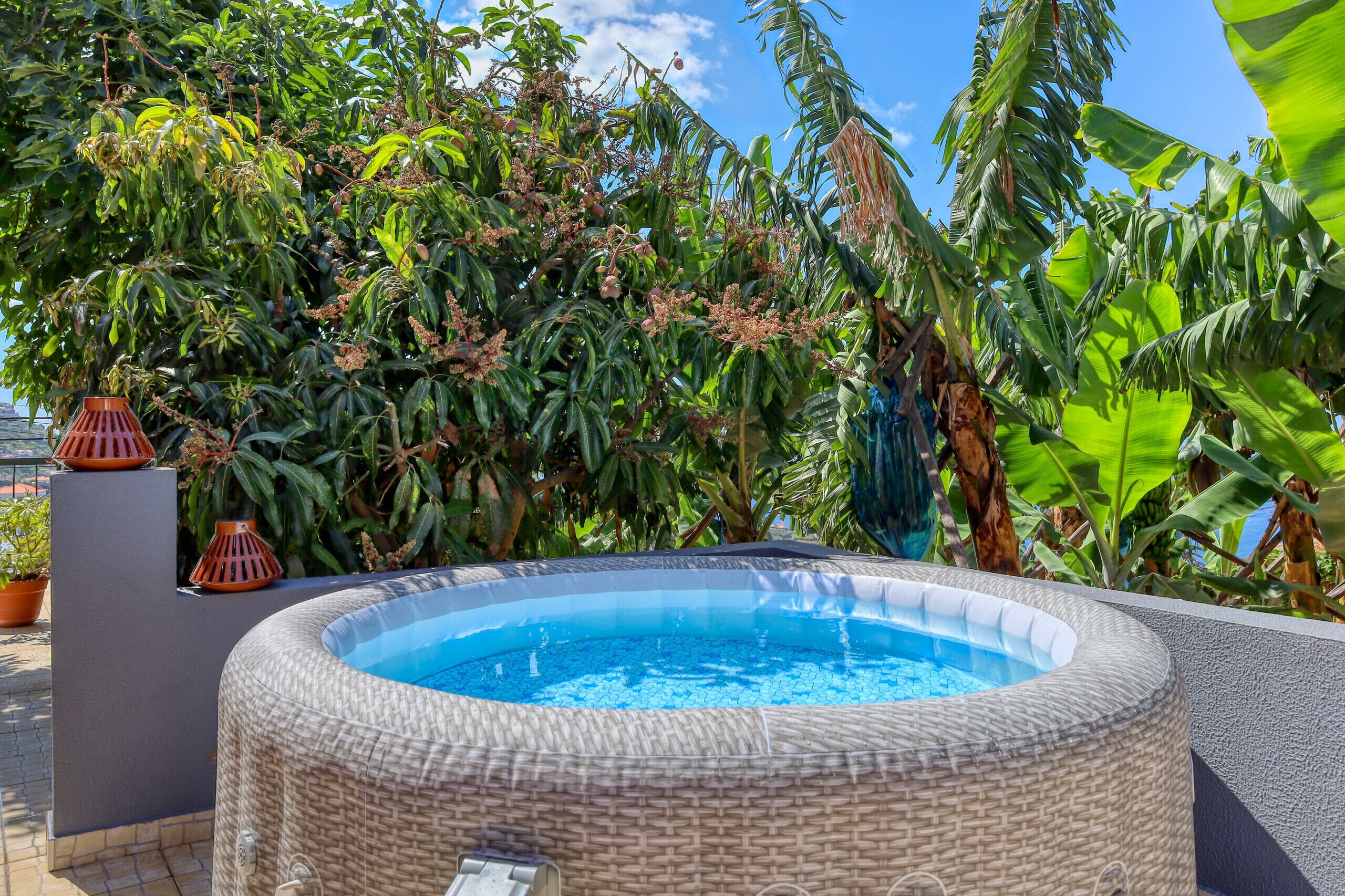 A hot tub surrounded by lush tropical plants and a clear blue sky.