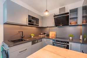A modern kitchen with grey cabinetry, a stainless steel sink, a Bosch dishwasher, a Siemens oven, and a hanging light fixture. - Modern vacation home in Korswandt with a garden, fireplace, and a view of the lake nearby (Korswandt)