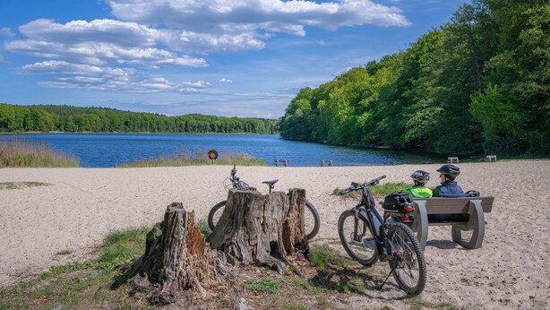 En sandstrand med en sø, træer og en b ænk med to cykler.