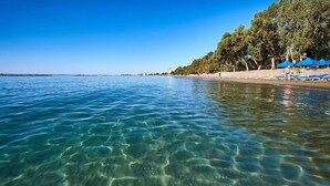 Una playa despejada con aguas poco profundas, una orilla arenosa y una hilera de árboles.