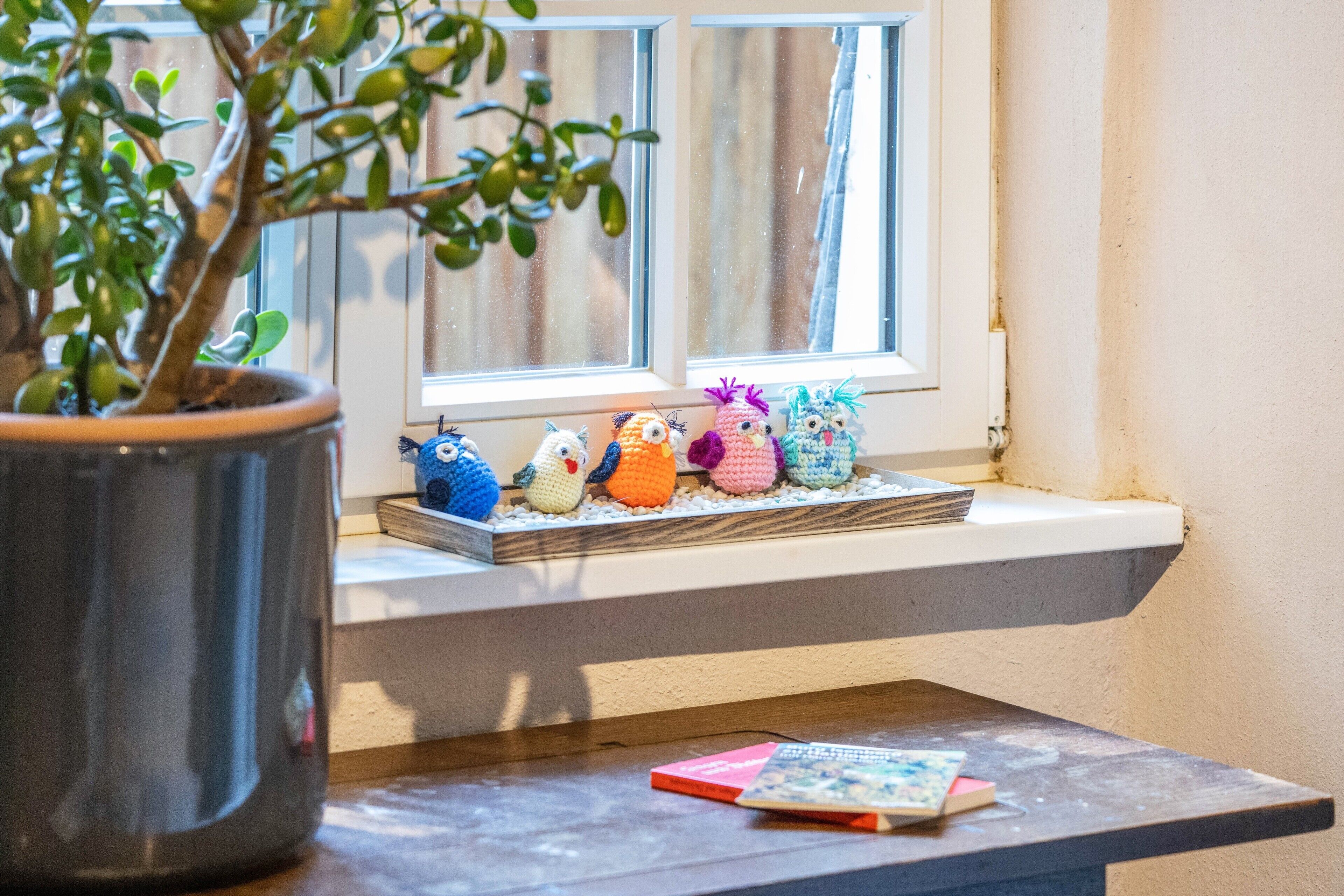 A window sill with a row of colorful knitted animals, a potted plant, and a small table with books.