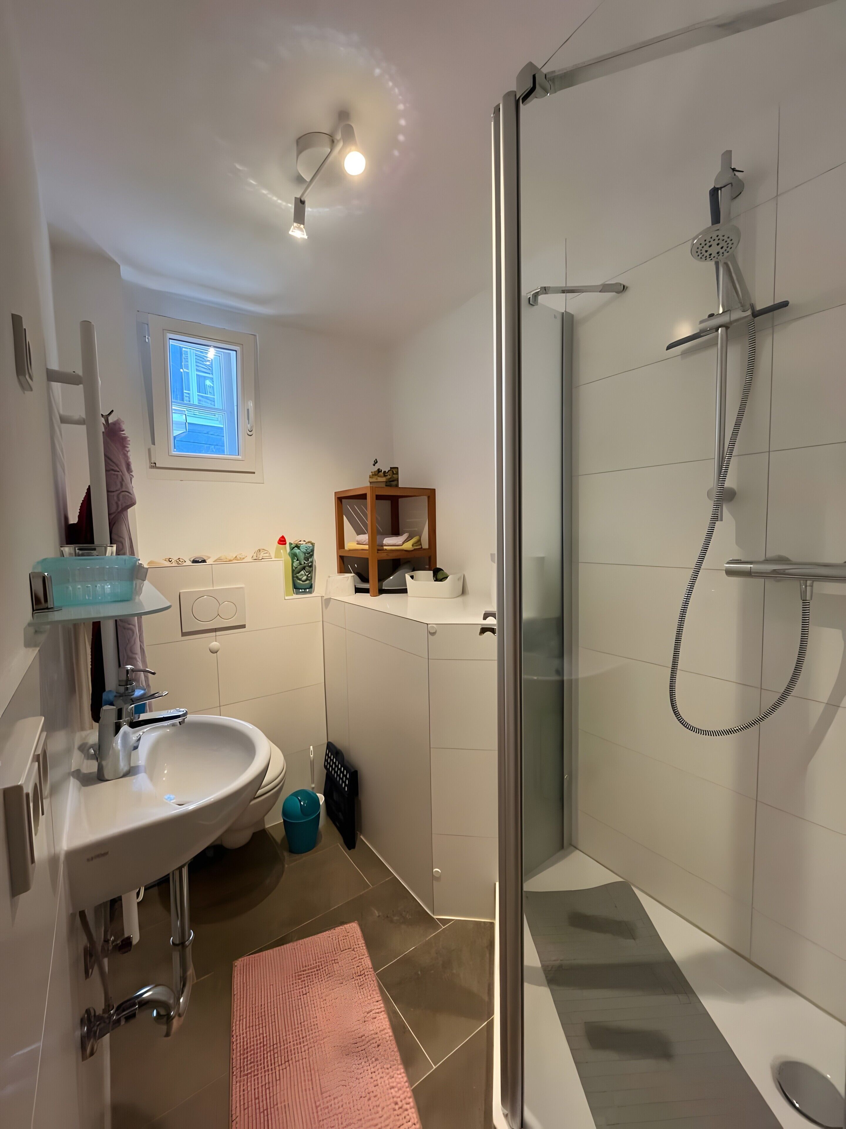 Dusche, Haartrockner, Handtücher