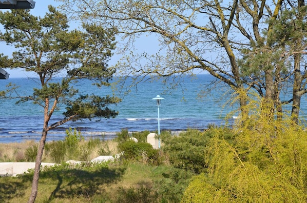 海灘