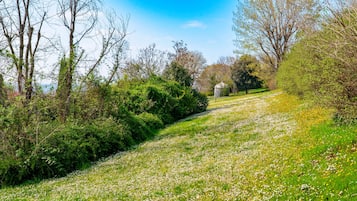 Un sentier qui traverse un parc, avec des arbres et une zone herbeuse parsemée de fleurs.