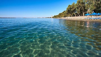 Plage à proximité