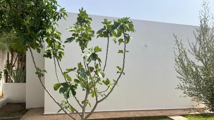 Villa Tremoulet Essaouira