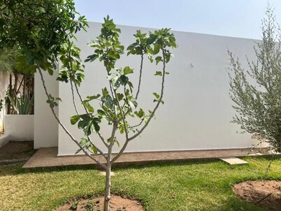 Villa Tremoulet Essaouira