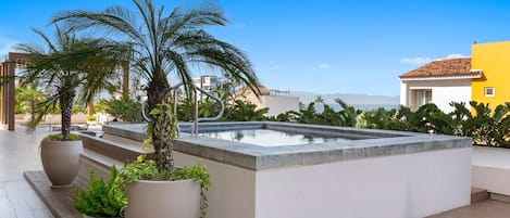 A rooftop pool area with a clear view of the ocean, surrounded by potted plants and a wooden deck.